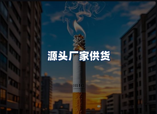 专业团队办公环境